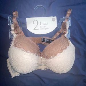 NWT 36c pushup bras